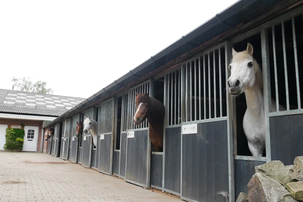 Stal Olden Eibergen - foto 3