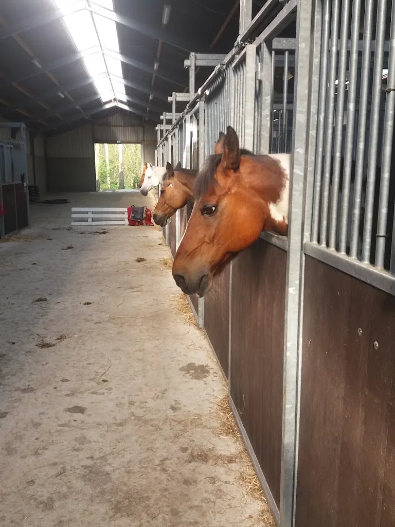 Capelse Manege - foto 2