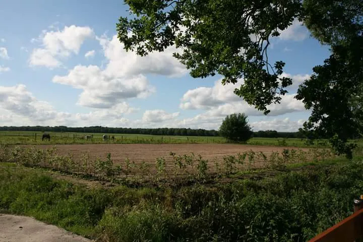 Stal de Onthaasting - foto 2