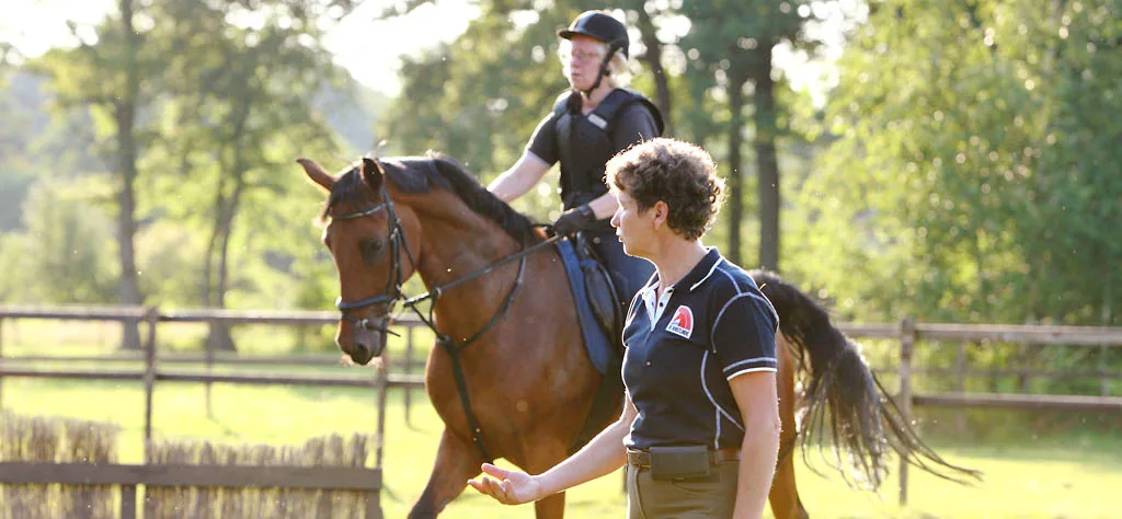 Holzik Stables - foto 1