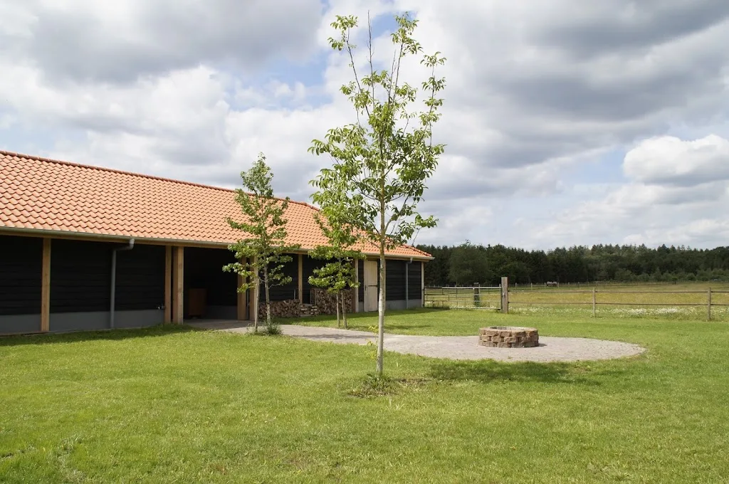 Ex-Equo - foto 3