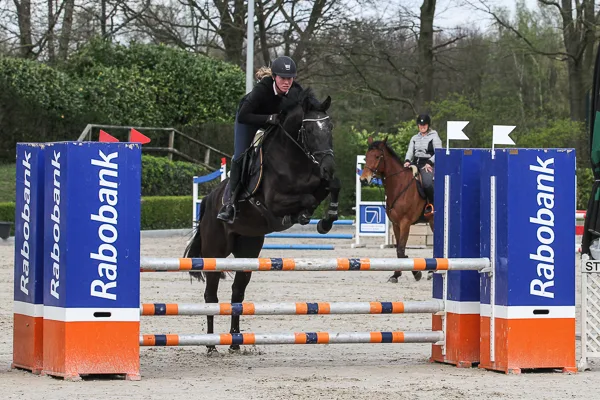 VOF Van der Pluijm - foto 2