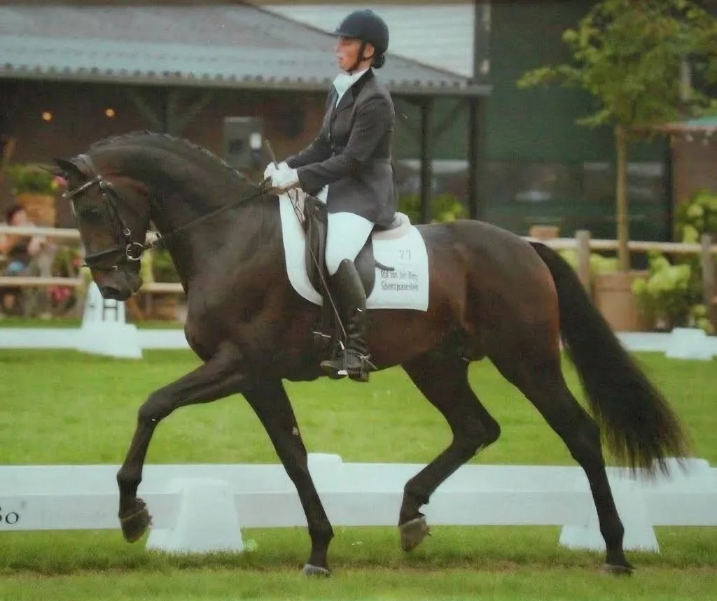 Trainingsstal Femke Voet - foto 1