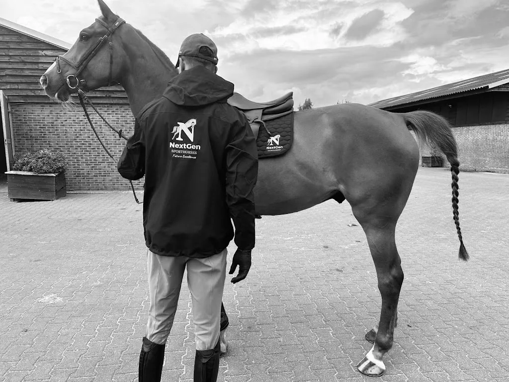 NextGen Sporthorses - foto 2