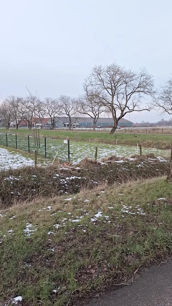 De Hoeven Manege & Ponykamp - foto 3