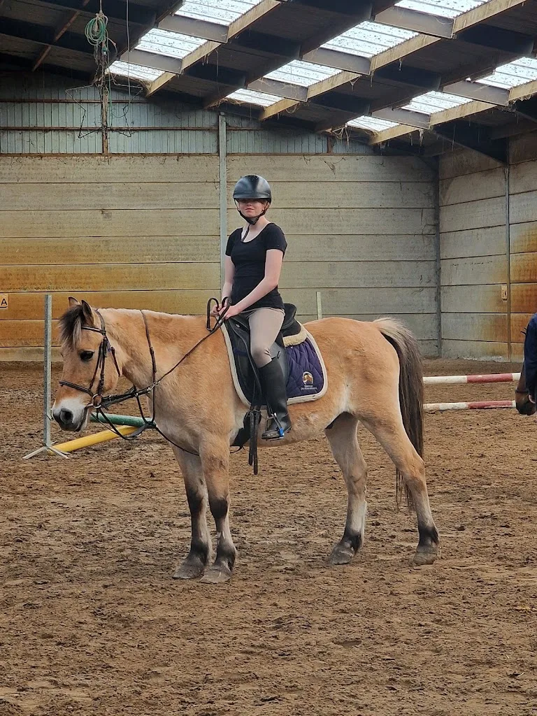 Balemans Ruitersportcentrum 🐎 - foto 3