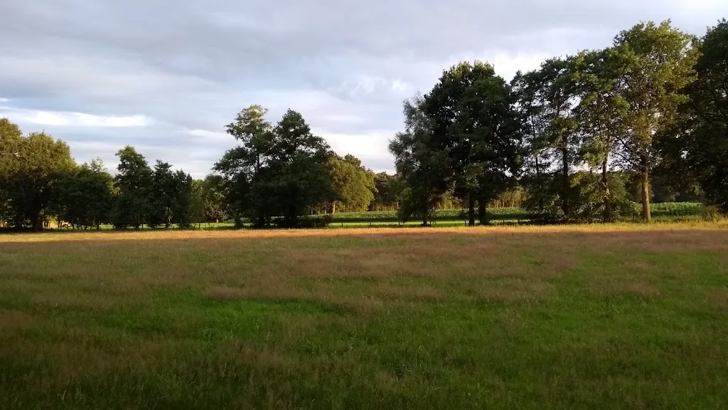 Stal Driener Broak - foto 2