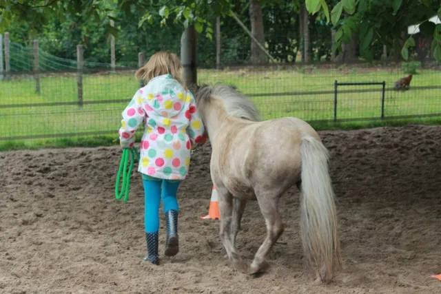 Equilution - foto 2