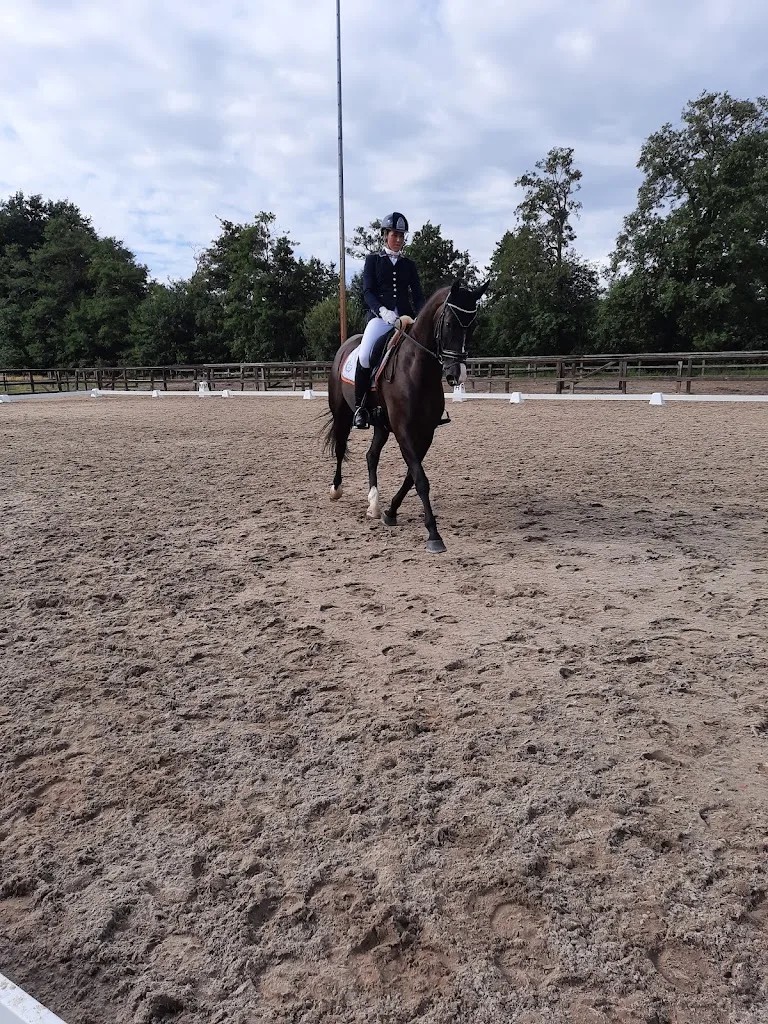 Equilution - foto 3