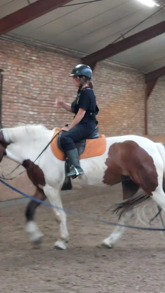 Hippisch Centrum "Kapelhoeve" - foto 1