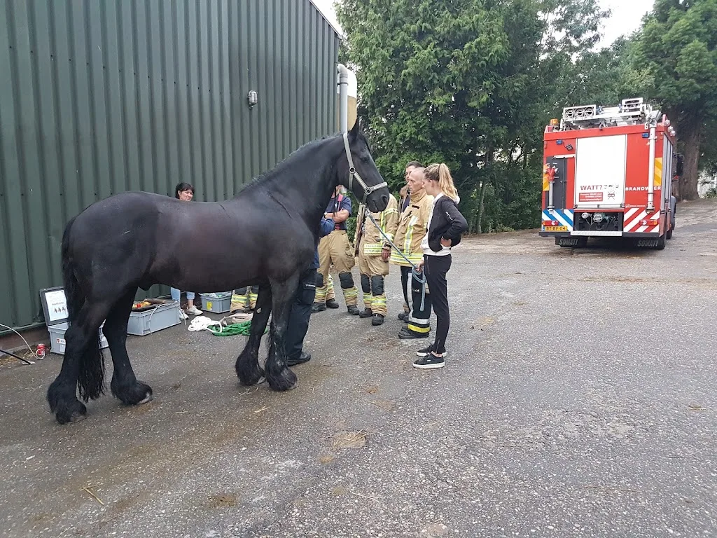 Manege Pensionstal De Hooge Stee - foto 2