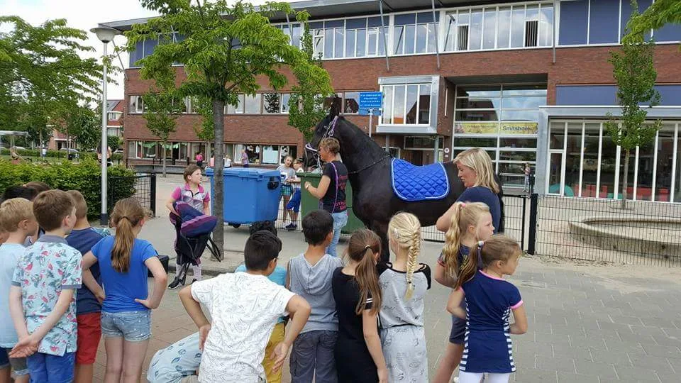 Manege Pensionstal De Hooge Stee - foto 3