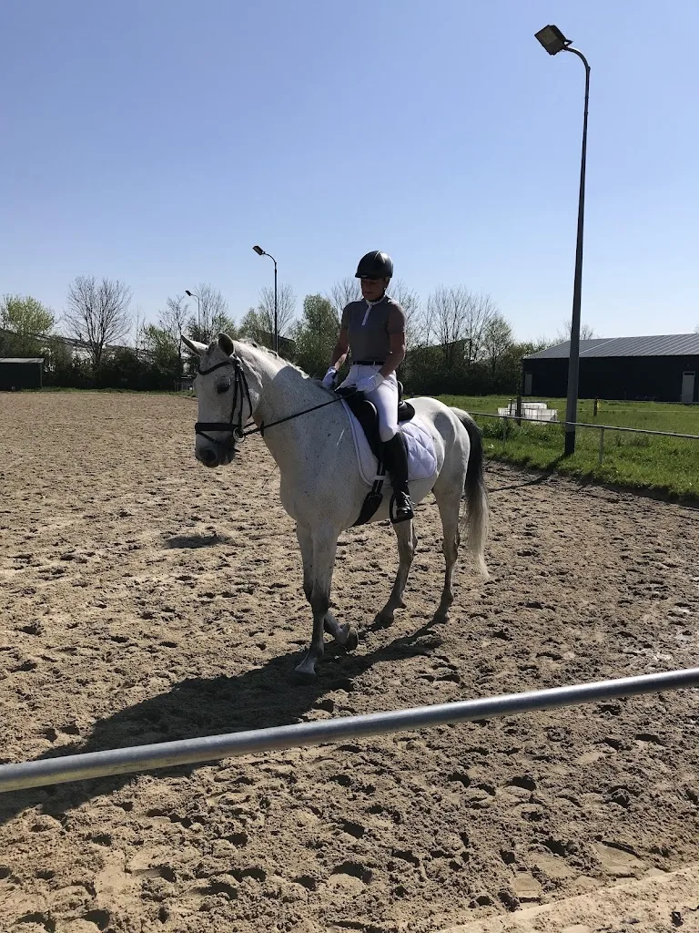 Ruitersportvereniging De Scheldestad - foto 2