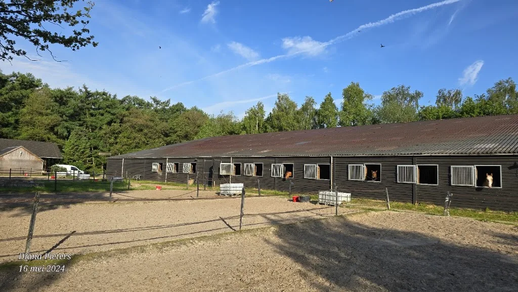 Westernstable Westerkwartier - foto 2