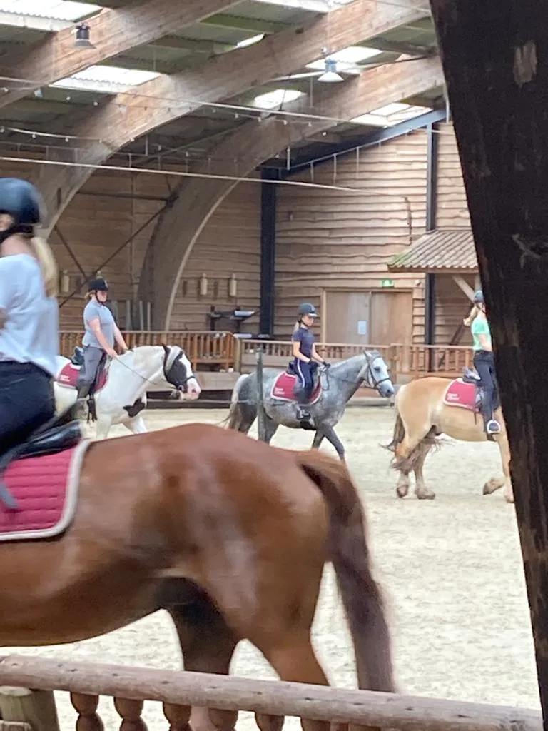 Ponyclub Avereest en omstreken - foto 2
