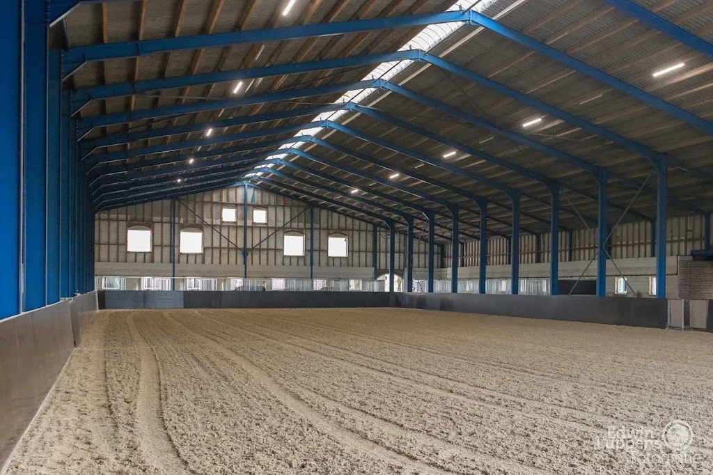 MC Dressage Horses - foto 2