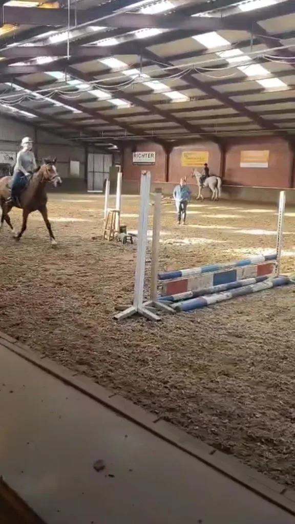 Manege Het Twentsche Veld - foto 1