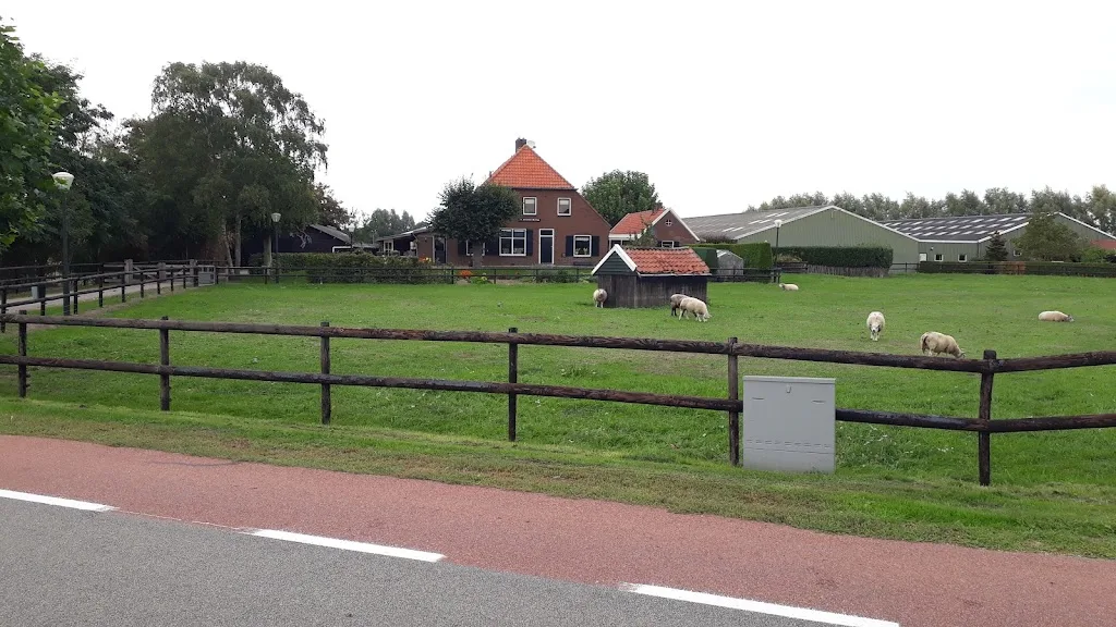 Brinkman Horses ( Spring- en africhtingsstal Eddie Brinkman ) - foto 2