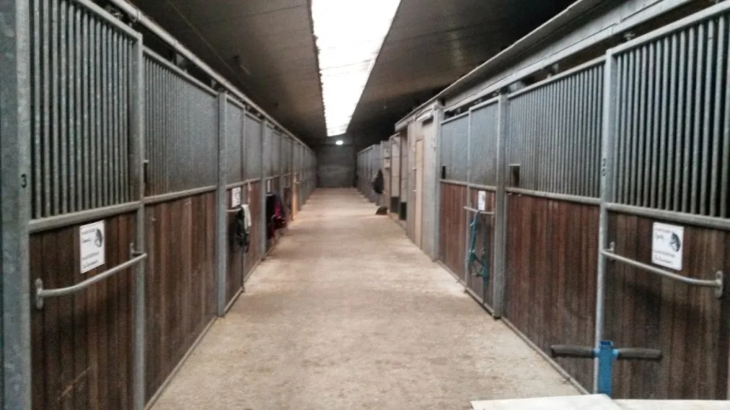 De rosrakkers Manege breda - foto 2