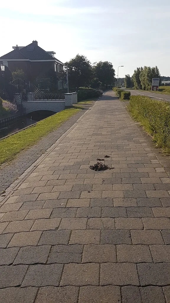 Stichting No Limits Noordwijk ZH - foto 1
