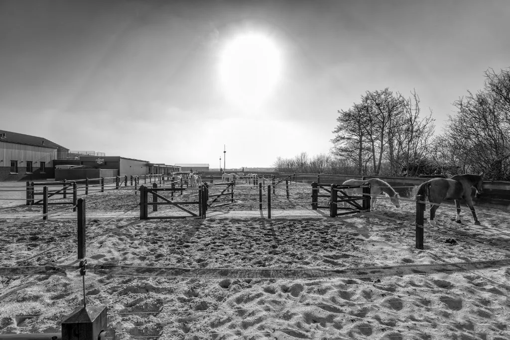 Stichting No Limits Noordwijk ZH - foto 2