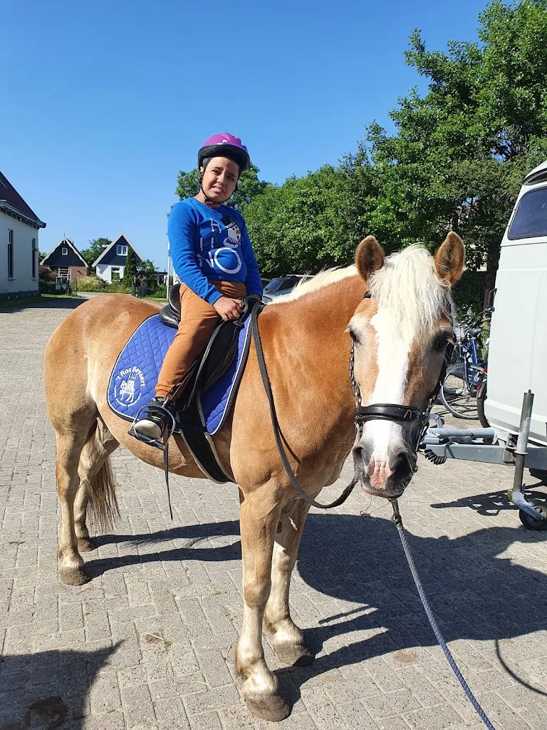 Manege Belckmeer - Paardensportcentrum Belckmeer - foto 1