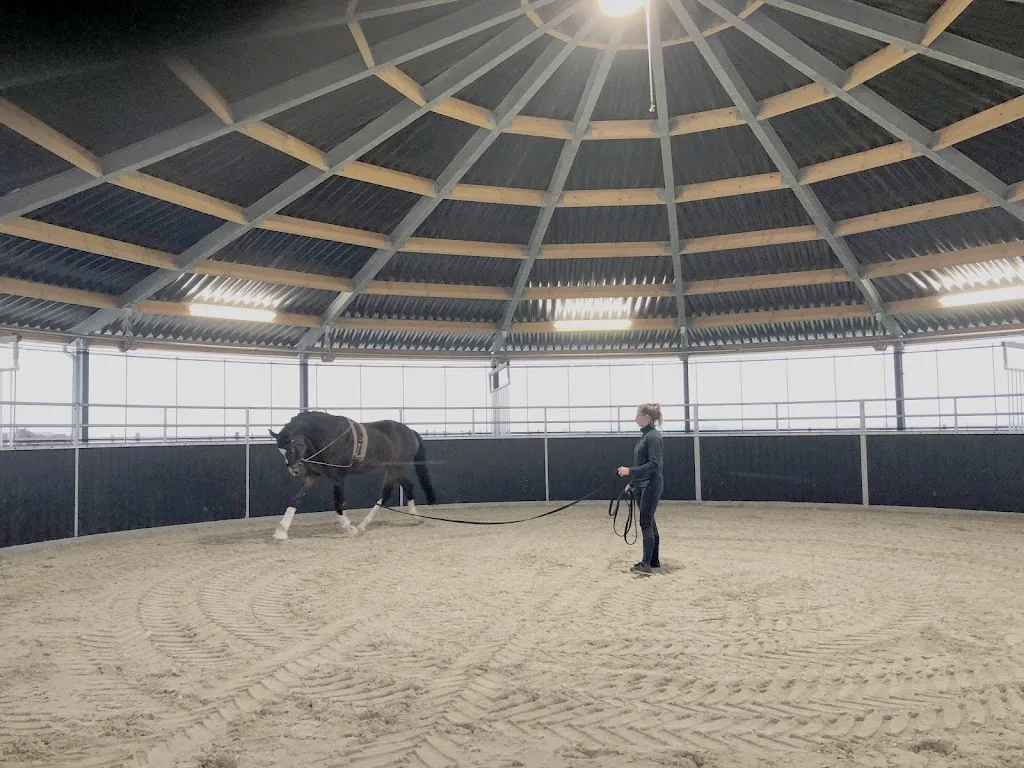 Geert & Henk | Paardenboxen & omheining - foto 1