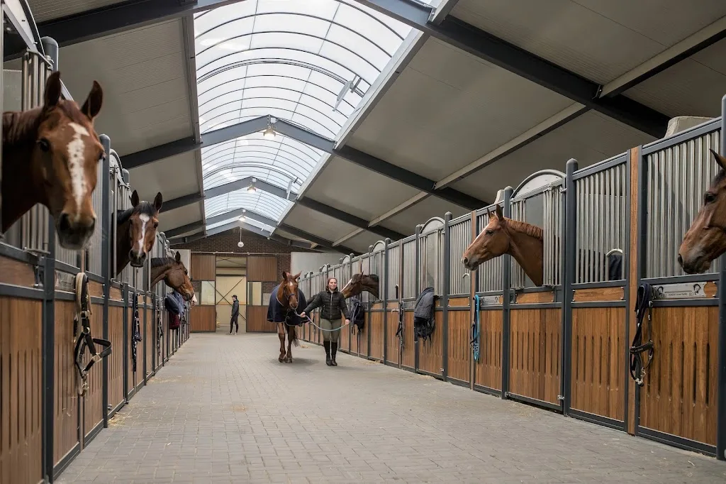 Geert & Henk | Paardenboxen & omheining - foto 2