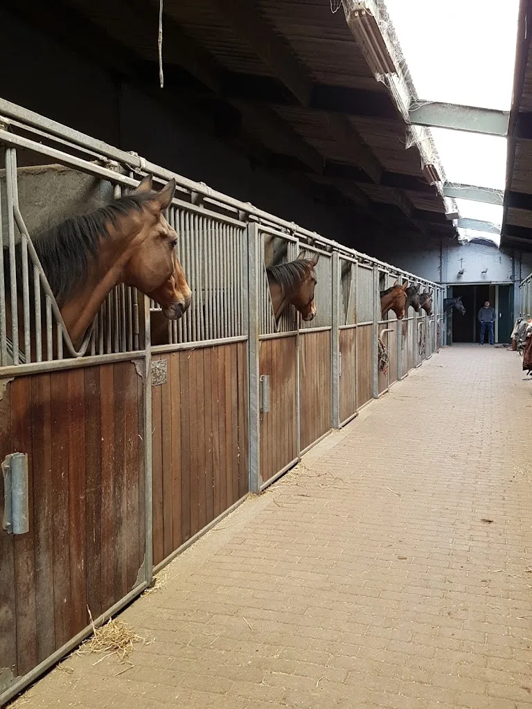 20 Feet Stables - foto 3