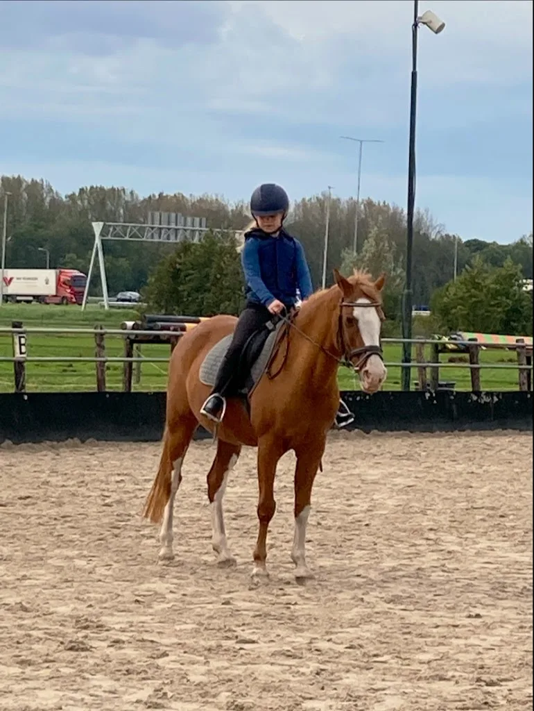 HCH Hippisch Centrum Harmelen 🐎 - foto 2