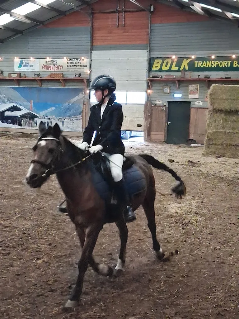 Paardensportvereniging De Vjenneruiters - foto 3