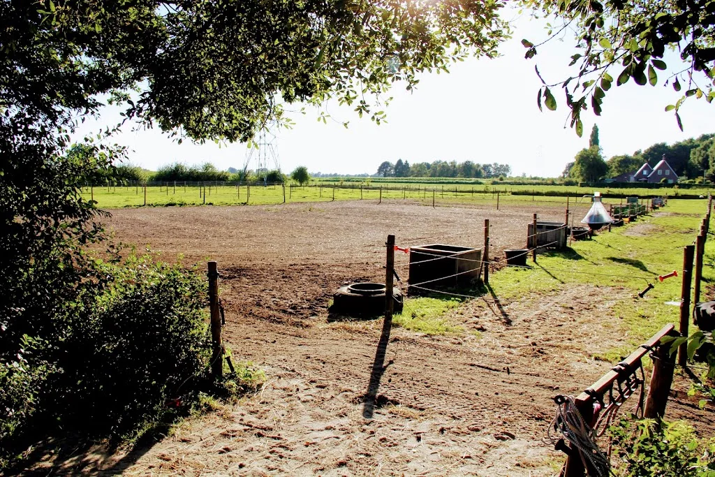 Paardenpension Ruiterlust - foto 2