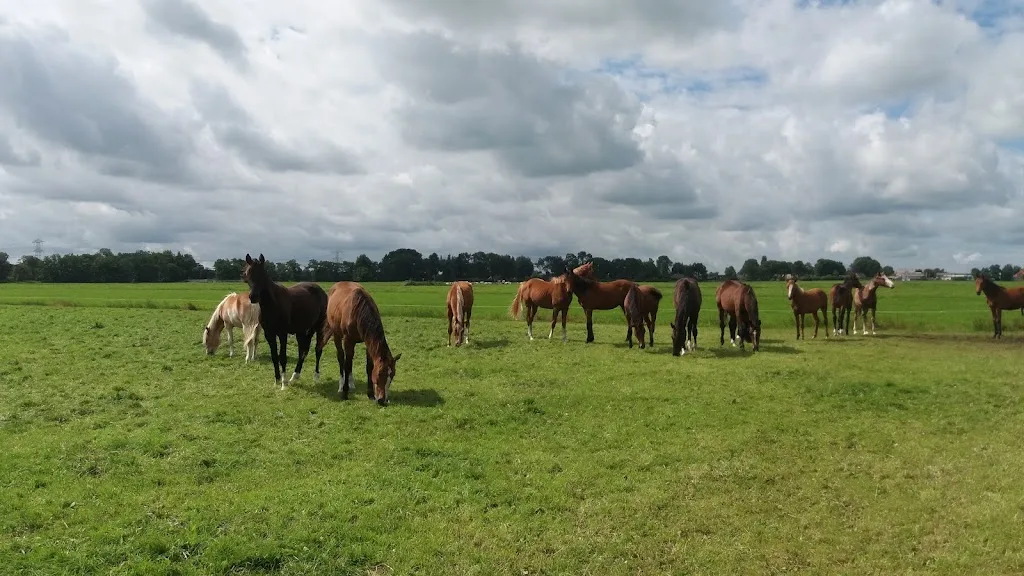 De Applonia Hoeve - foto 2