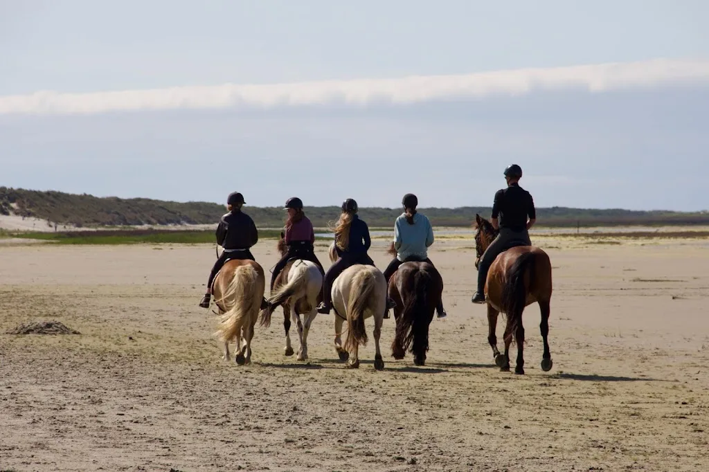 Hollumer Trap | Paardrijden op het strand Ameland 🐎 - foto 1