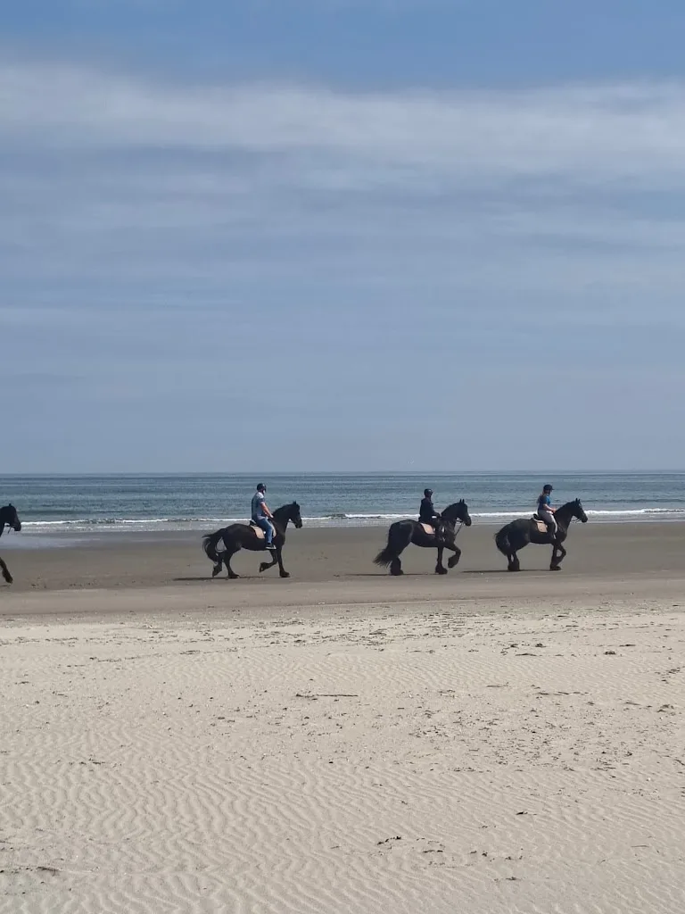 Hollumer Trap | Paardrijden op het strand Ameland 🐎 - foto 3