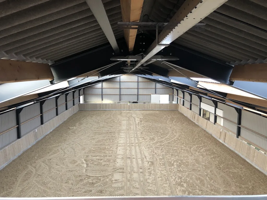 Stal Yellowhoeve paardencoaching en appaloosa fokkerij - foto 1