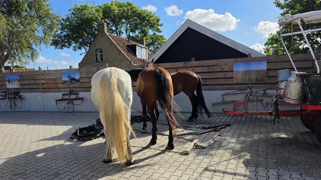 Huifkarbedrijf Terpstra Terschelling - foto 2