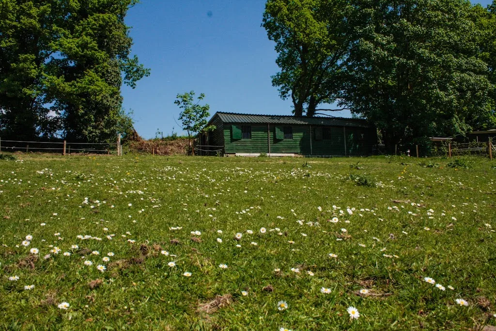 Vereniging Paard en meer - foto 1