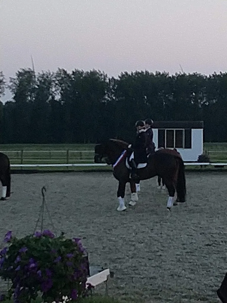 Dressuur- en Pensionstal De Cavalier - foto 2