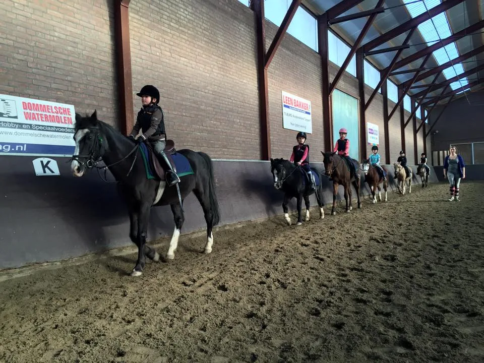 Manege 't Halster - foto 1