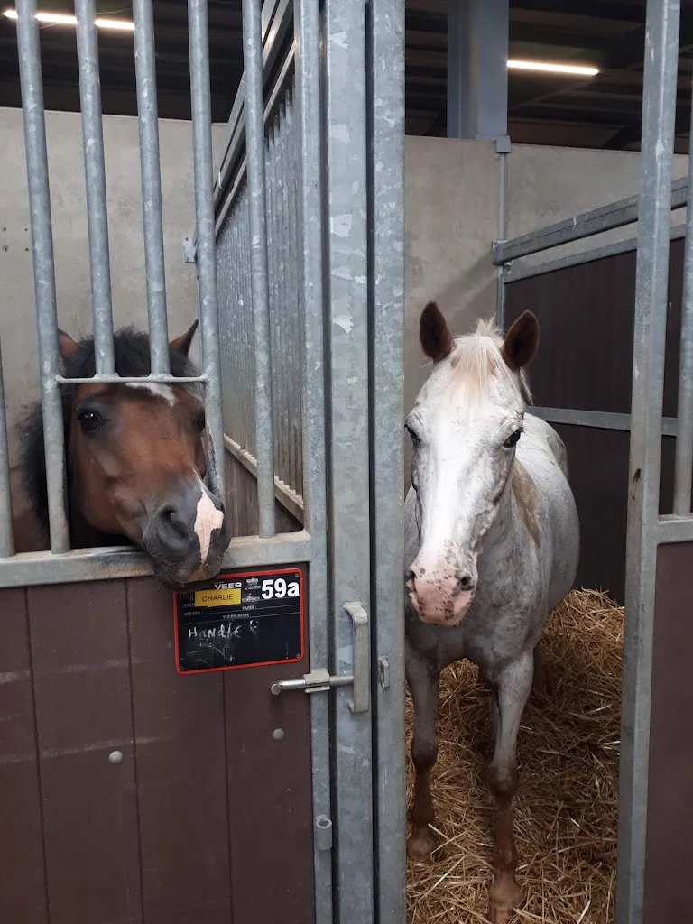 Manege Beukers - foto 2