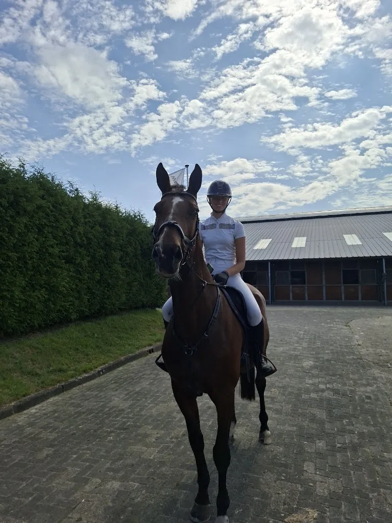 SB Sporthorses - foto 1