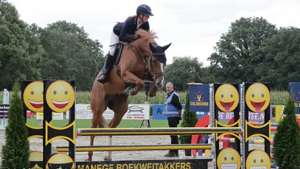 SB Sporthorses - foto 2