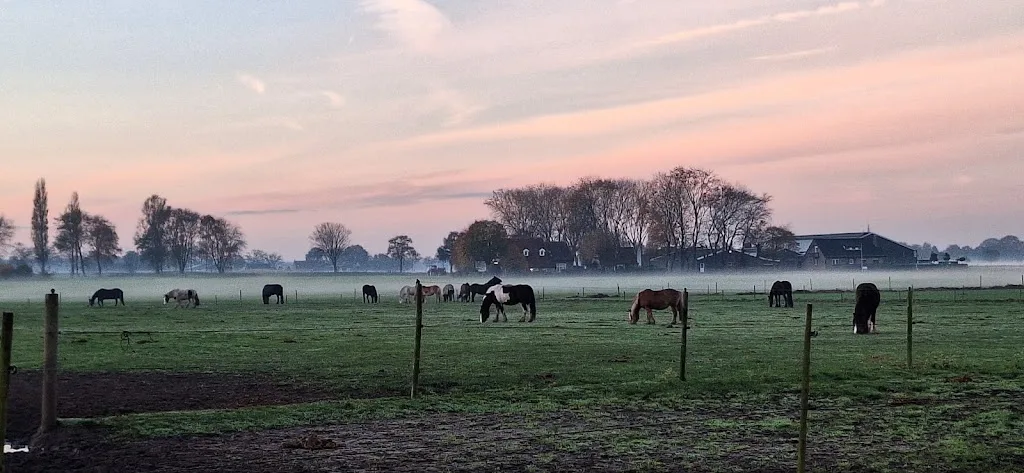 Paddock Paradise De Berg Hoeve - foto 1