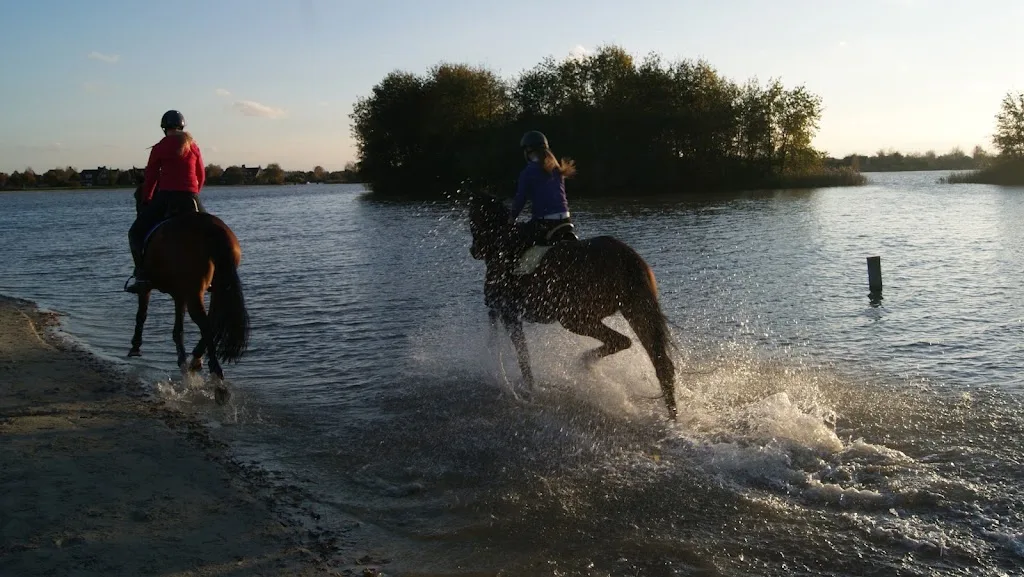 Help with Horses - foto 1