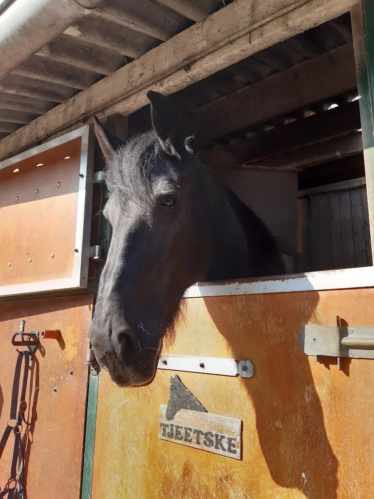 Manege Stroombroek - foto 1