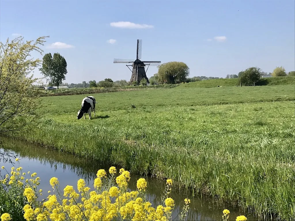 Stal de Slotbrug - foto 2