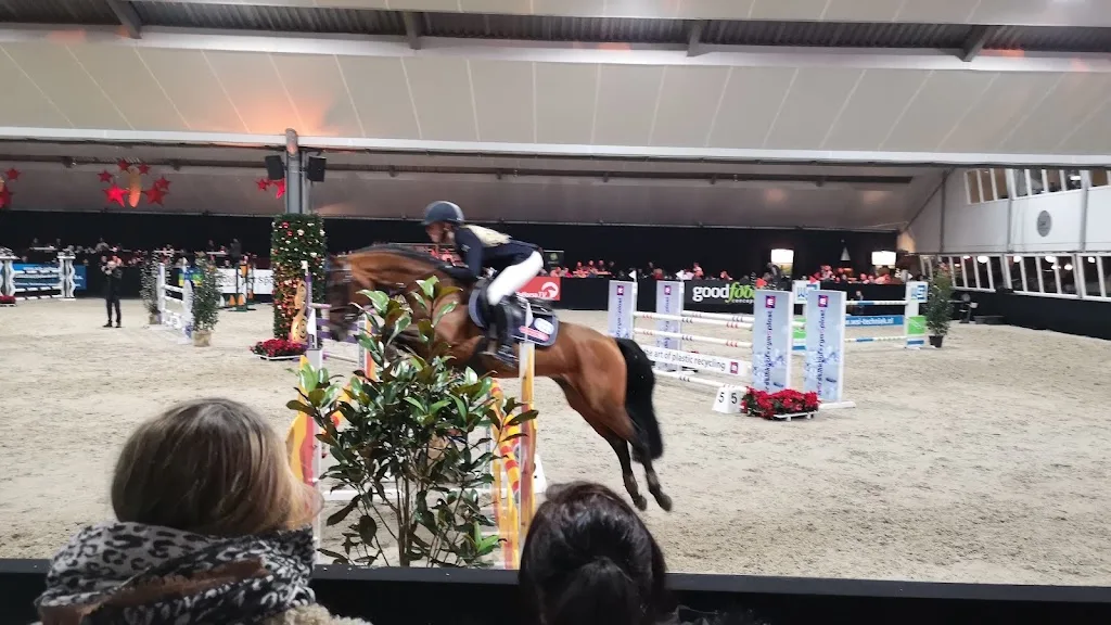 Haflingerstal ‘t Jentink - foto 1