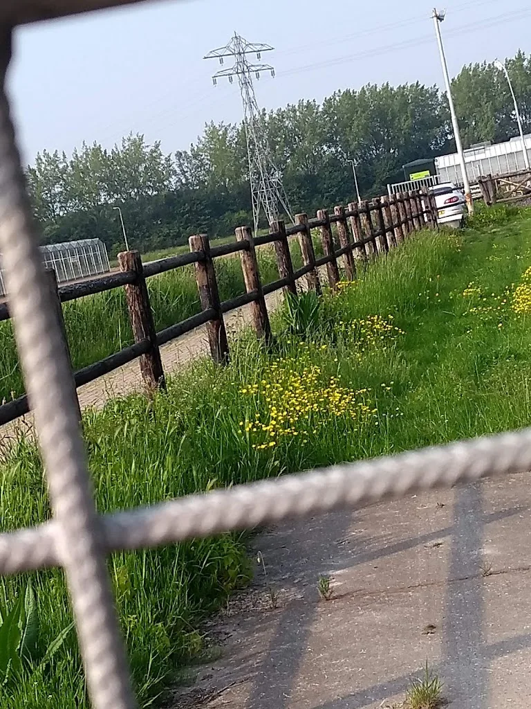 Paardenpension "Oostendam" - foto 1