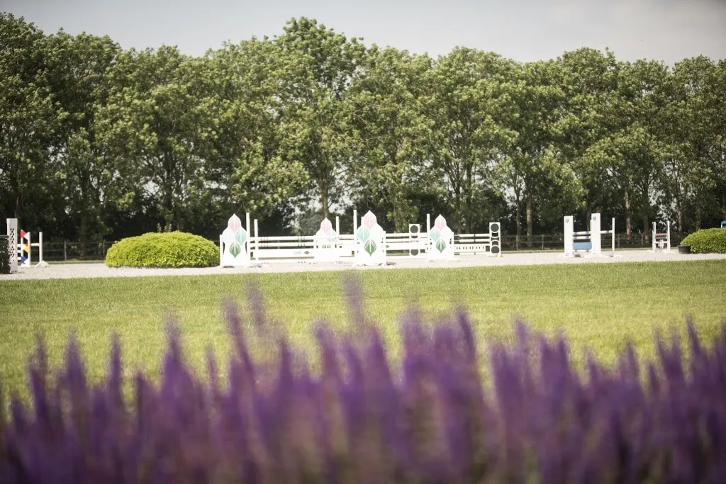 Stal "De Margaretha Hoeve" - foto 3
